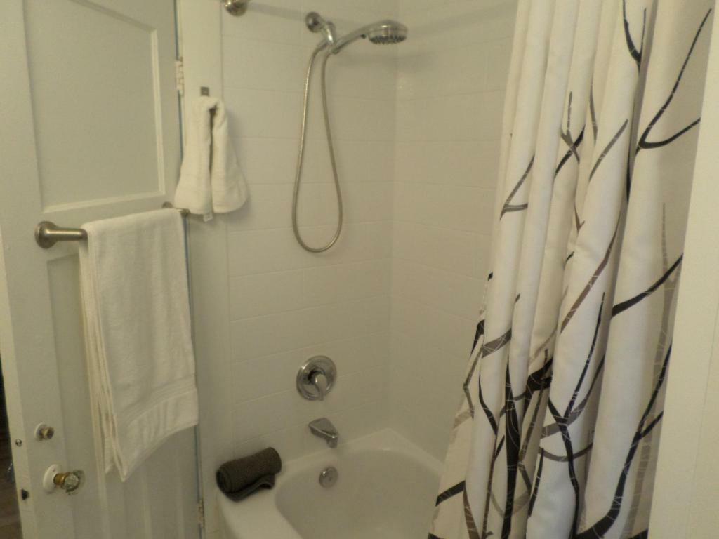 Beautiful, Clean, Quiet 2 Br-In Downtown Ottawa. Parking, Wifi And Netflix Included Exterior foto